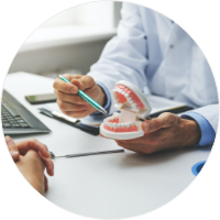 dentist holding model teeth